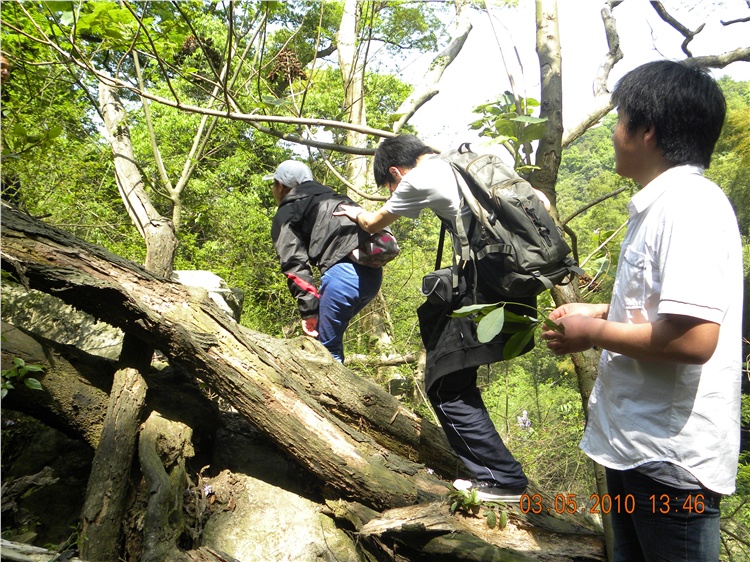 DSCN3861.jpg
