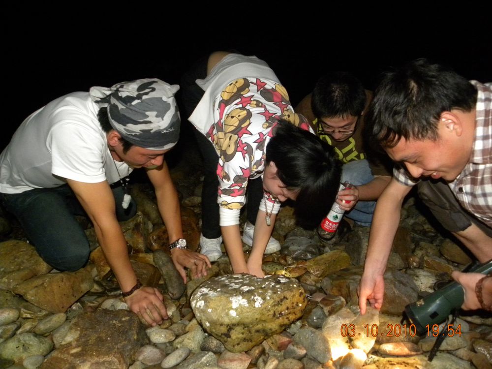 DSCN6190.jpg