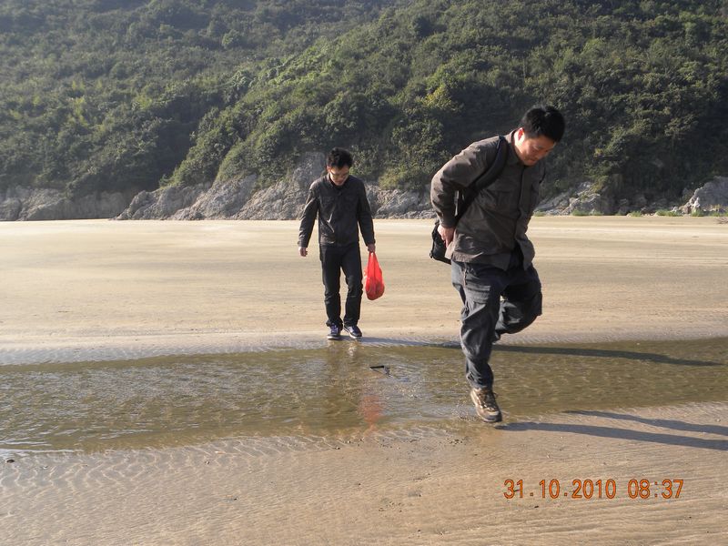DSCN6653.jpg