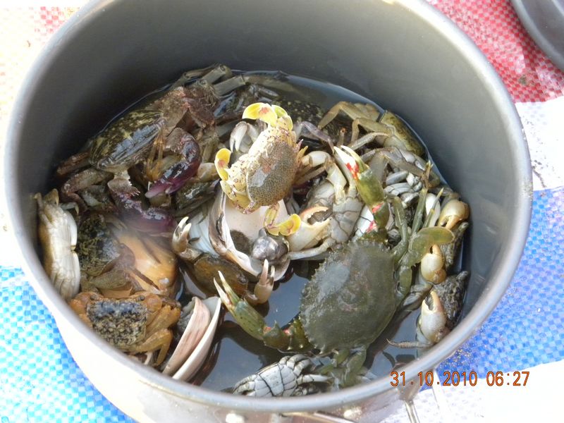 DSCN6603.jpg