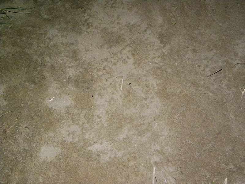 DSCN7762.jpg