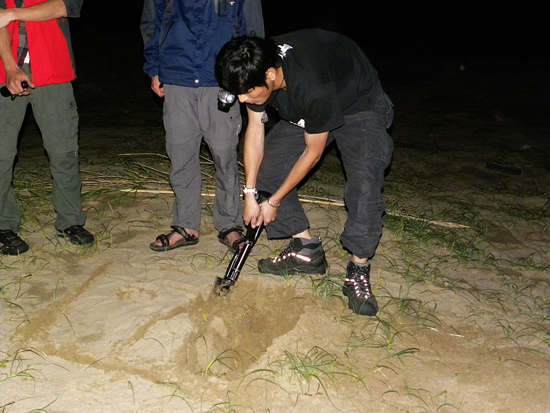 DSCN7768.jpg