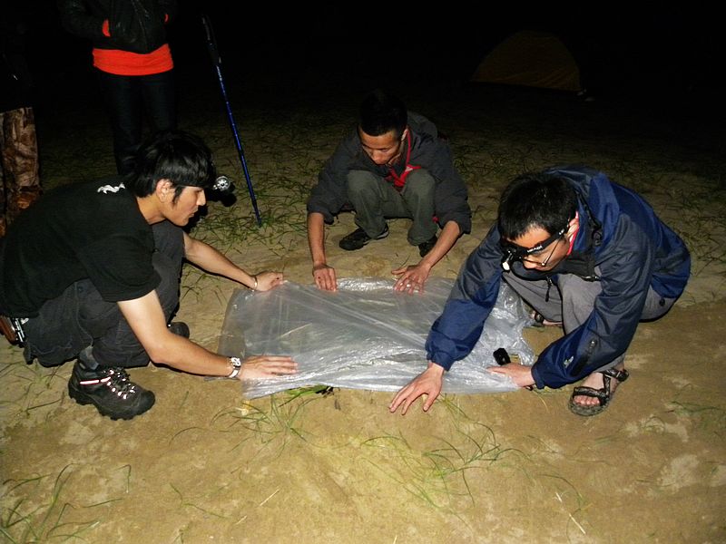 DSCN7770.jpg