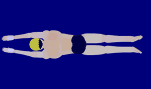 2.gif