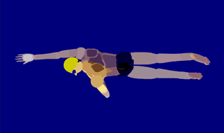 2.gif